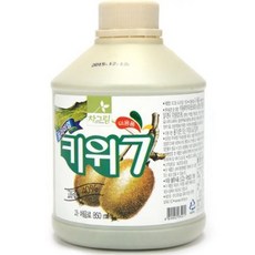 차그림 키위 주스 원액 850ml 1박스 12개, 차그림키위주스원액850ml1박스12개, 차그림키위주스원액850ml1박스12개