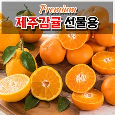 제주천혜향선물세트2호