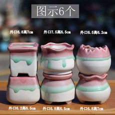 ai선인장