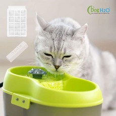 Dogh2o 강아지 고양이 구강케어 자동급수기 정수기, 자동급수기:2리터, 그린, 1개