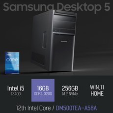 삼성 데스크탑5 DM500TEA-A58A, 블랙, RAM 16GB + NVMe 256GB, WIN11 HOME