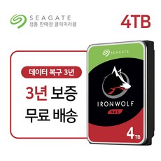 씨게이트 아이언울프 4TB 하드디스크 3.5 NAS HDD Seagate Ironwolf ST4000VN008