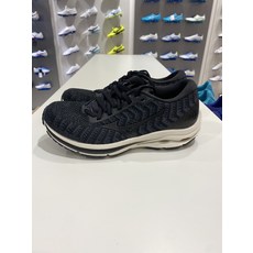 미즈노웨이브라이더