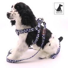 찰리스백야드하네스