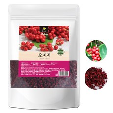 건오미자500g