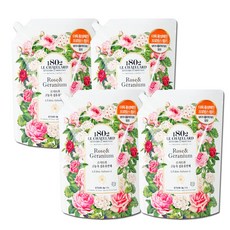 르샤트라로즈제라늄