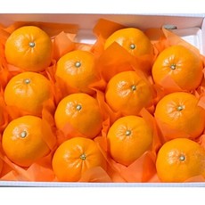 [딜픽]선물용 천혜향+레드향 2.5kg내외 중과(10-12과 내외), 1개