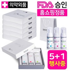 이숲 덴트리 거품치약 선물세트 5+1 치약선물세트, 덴트리 거품치약 세트