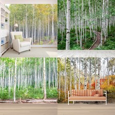 뮤럴벽지자작나무
