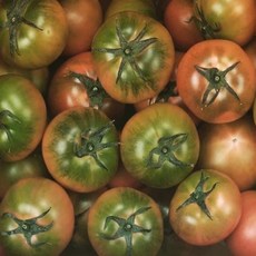 [대저농협 인증]당일수확 당일발송 대저토마토 / 대저 짭짤이 토마토 2.5kg(2S 골드소과/S 로얄과), 2.5kg(S, 로얄과), 1개