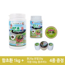 순천만