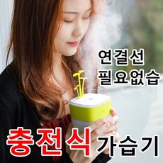 pon가습기