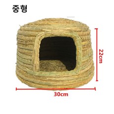 관상닭