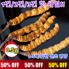 1건/2건/3건 핫 세일!! 고급 동충하초 프리미엄 동충하초 특가동충하초 0.5g 3-5배 일반 건초 영양, [1건] 0.5g