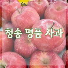 산지직송 청송 꿀 사과 부사 햇 사과 직거래 5kg 10kg 중과 대과 특대과 가정용 선물용 선물세트 (15과수~22과수), 1. 홍로 5kg (가정용 한입사과 21~24과)