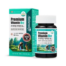 비타민12-추천-상품
