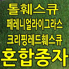 지엘파크 잔디씨 혼합잔디씨1kg-약12평분량 경사지 법면 산사태방지 녹화용잔디씨 풀씨 사방공사 1kg 3kg 5kg 10kg 20kg, 1개