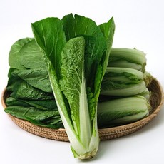 국내산 얼갈이 배추 2kg 4kg, 2kg내외