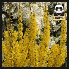 미카도르색연필 TOP01