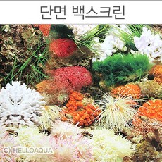 I)백스크린 높이 30cm (10cm단위)-어항배경 그림 시트지/헬로아쿠아