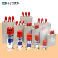 은성산업 저압진상콘덴서 380V 10-1000uf 단상 삼상, 380V단상, 500uf, 1개