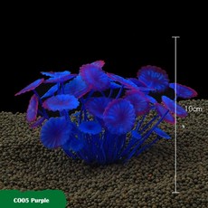 여수아쿠아리움식당