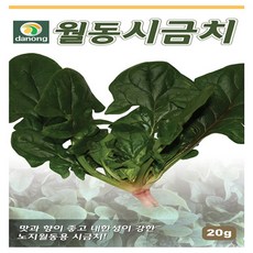 냉동시금치국산