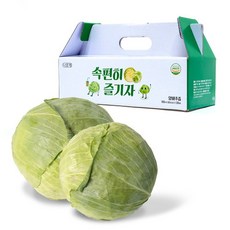 나애게 양배추즙 100mlx90팩, 선택완료, 단품없음