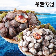 피꼬막제철