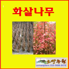 e6d88e0829aab796ebe549746c52595995fa9d2065dbbe884b5c53834fb0.png
