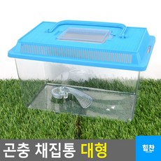 방학기르기키트