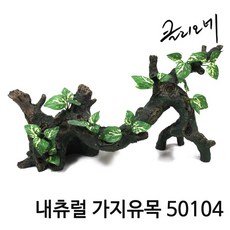 클리오레 내츄럴 가지유목 C 50104