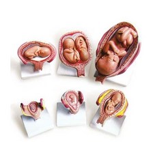 당일완성성장영상