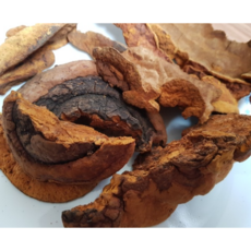 국산 자연산 상황버섯 1kg 1박스 항암버섯 황철상황버섯 황철나무 황철 국산상황버섯 상황버섯차 국내산상황버섯 장수상황버섯국산 국내상황버섯 상황버섯국내산 자연산상황버섯, 1개