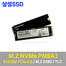 삼성전자 PM9A1 M.2 NVMe SSD 512GB (벌크), PM9A1 512GB