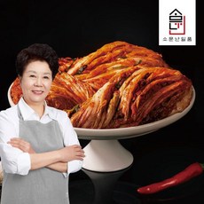 소문난일품 소문난 배윤자 국내산 농산물 일품 포기김치 10kg(배윤자 비법육수로 시원한맛), 10kg, 1개