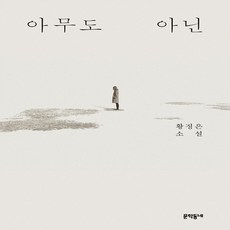 아무도 아닌 : 황정은 소설