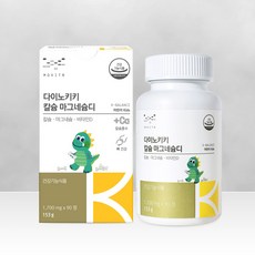 키키세안밴드