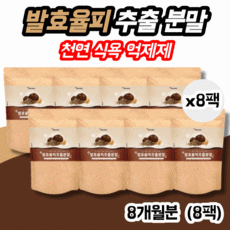 다이어트정체기
