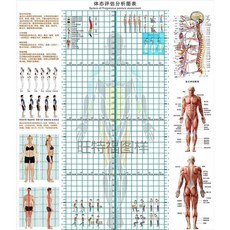 체형교정롤스크린
