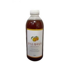 조선시대 왕실 청량음료 생강 제호탕재료 노란 황매실청 1000ml, 1000ml 1병, 1개