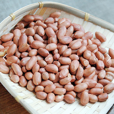 충북제천 생 알땅콩 굵은 알맹이 대용량 1kg, 1개