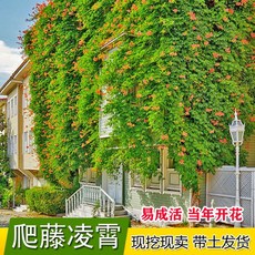 풍천스틸