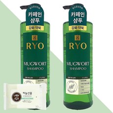 려 강화 약쑥 샴푸 800ml 2개(+하늘선물 물티슈 10매), 01 려 강화 약쑥 샴푸 800ml 2개, 2개