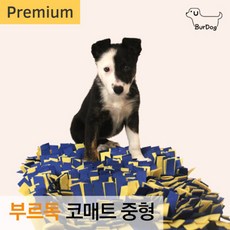 부르부르독