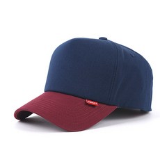 캠브리지오디오am5