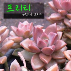 1b80a3e64aa6d2e77a2e5f1ea17be107b790fffd0ba51cfa97834872d7a4.jpg