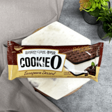 쿠오레아이스크림메이커