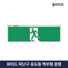 올라이트라이프