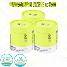 플로레비다